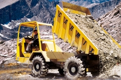 Dumper_21