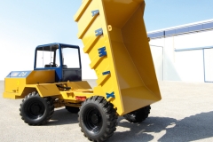 Dumper_41